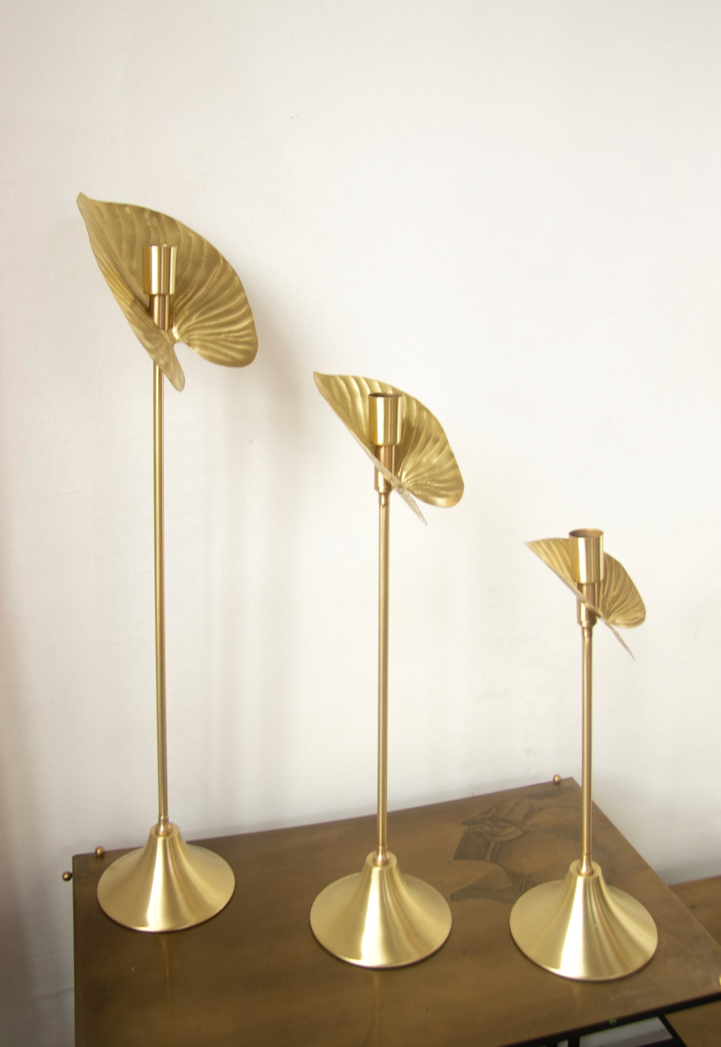 antoryum pirinç mumluk (50 cm)