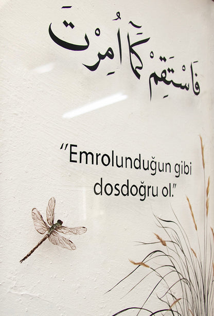 yusufçuk çerçeve