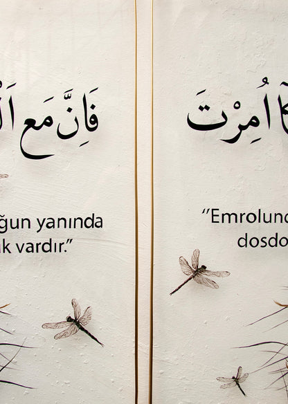 2'li yusufçuk çerçeve