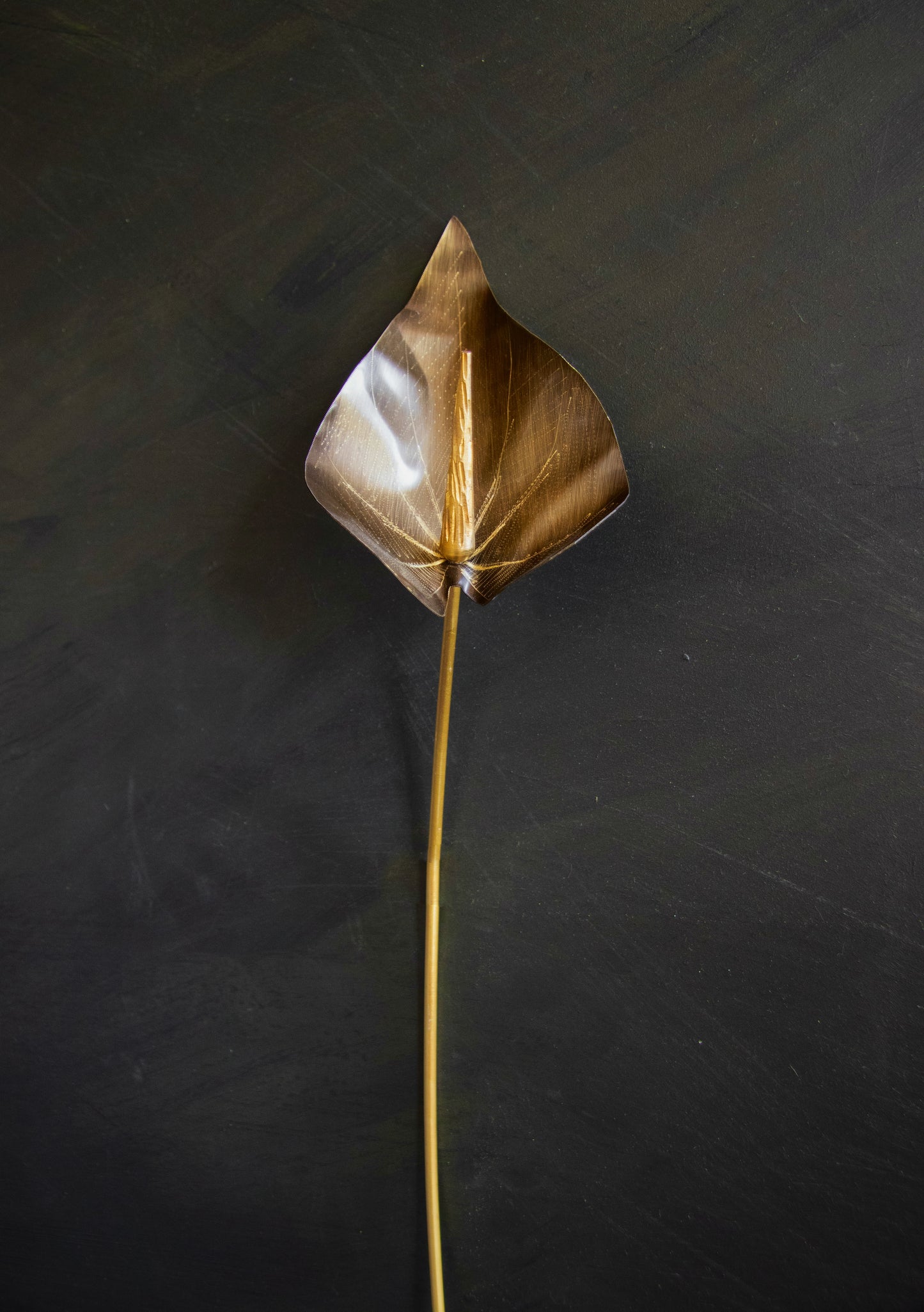 'antoryum '