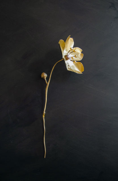 'sakura'