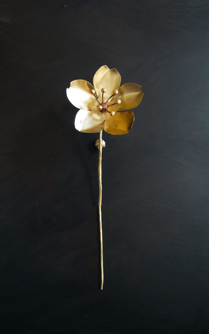 'sakura'